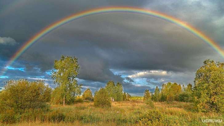 Дождь и солнце: какие сюрпризы сегодня готовит для орловчан погода 