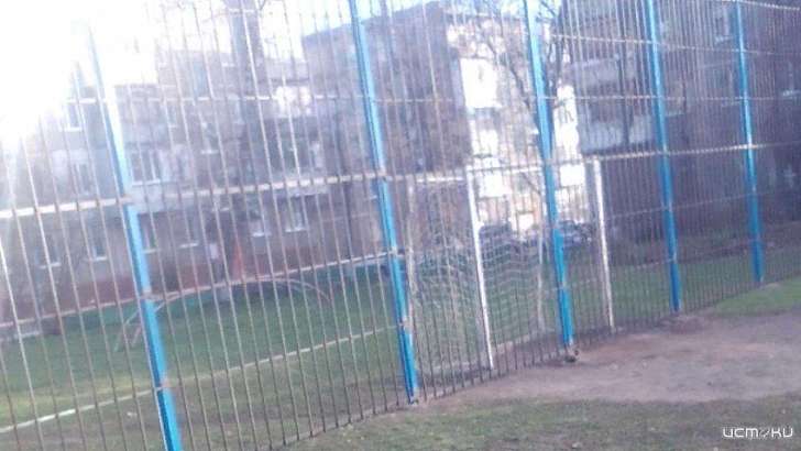 Из-за жалоб орловской старушки дети больше не смогут играть в футбол