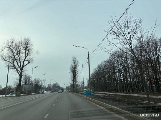 Орловское ГАИ "выявило" точки продажи "незамерзайки" на Карачевском шоссе, которые создают аварийную ситуацию. Но ничего не изменилось. Орловское ГАИ "выявило" точки продажи "незамерзайки" на Карачевском шоссе, которые создают аварийную ситуацию. Но ничего не изменилось.