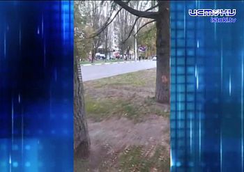 Подростки лишили Александровский мост трех ваз с цветами. Экспресс - новости. Подростки лишили Александровский мост трех ваз с цветами. Экспресс - новости.
