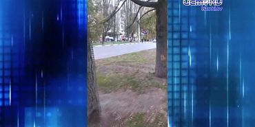 Подростки лишили Александровский мост трех ваз с цветами. Экспресс - новости.