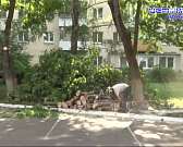 Бич этого года - повальный спил деревьев в Орле. Причём во многих местах он вызывает негатив у жителей. Сегодня мы расскажем случай, когда мнения жите...