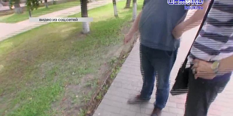 Бордюр вместо забора