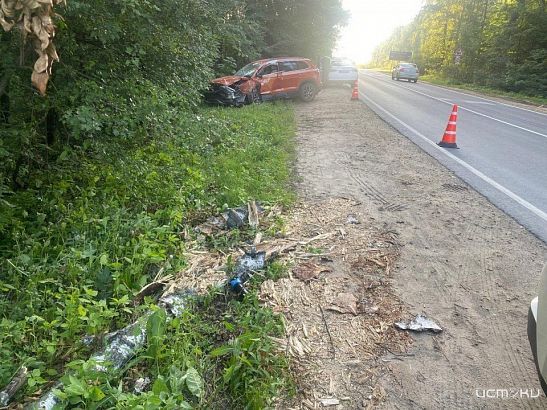 На Орловщине водитель-пенсионерка на кроссовере въехала в дерево
