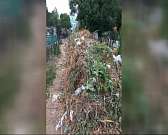 Грымов ушел в отставку, а на Троицком кладбище опять кучи мусора. Новости за 90 секунд