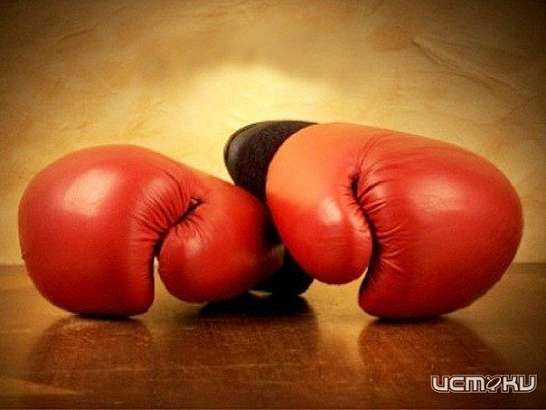 Лучшие боксеры Орловской области сразились на мценском ринге