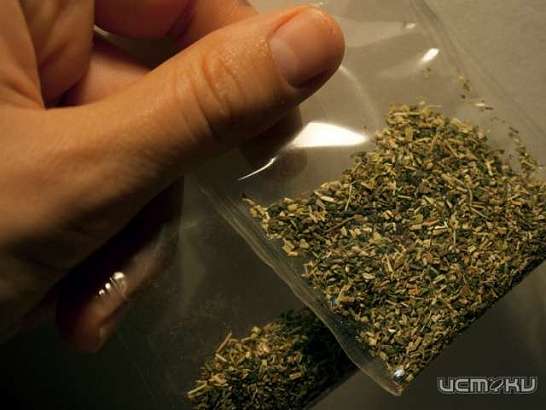 Орловчанин пытался сбыть наркотики и получил 9 лет тюрьмы