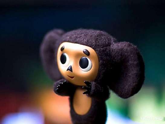 Самых юных орловчан приглашают совершить путешествие в «Мультландию»