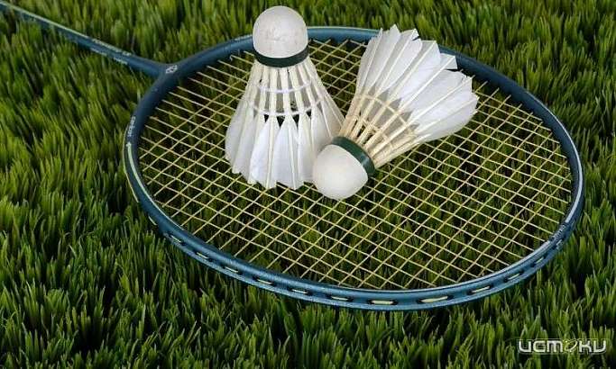 Орловчан приглашают на турнир по бадминтону "Оrel open.Осень"