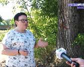 Будущее парка Победы: почему орловчане забраковали концепцию благоустройства