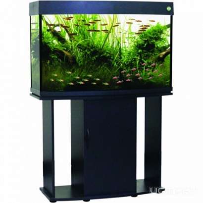 Выбираем аквариум 