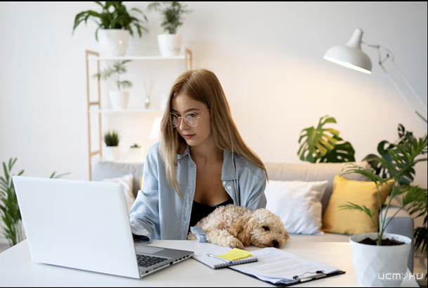 Статья-Обзор: ТОП-5 Лучших Инструментов для изучения английского Статья-Обзор: ТОП-5 Лучших Инструментов для изучения английского