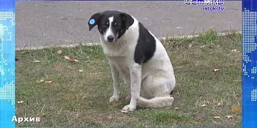 Город начали убирать. Экспресс - новости.