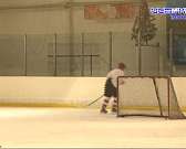 Всероссийский день хоккея орловские любители провели на льду