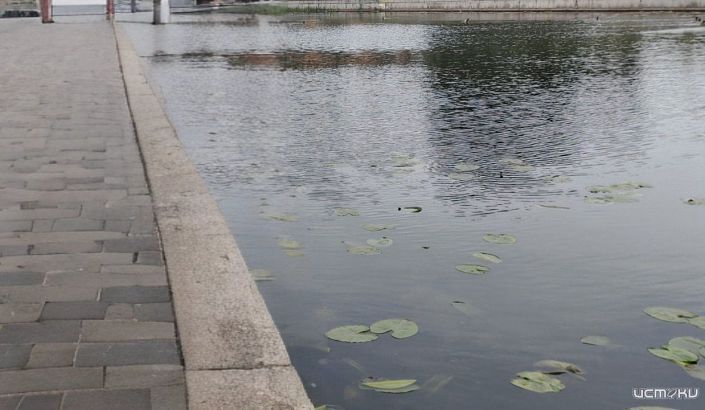 К «Троицким хороводам» в Орле почистят реку