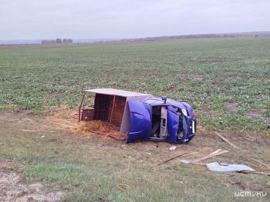 На Орловщине «ГАЗель» улетела в кювет с двумя людьми