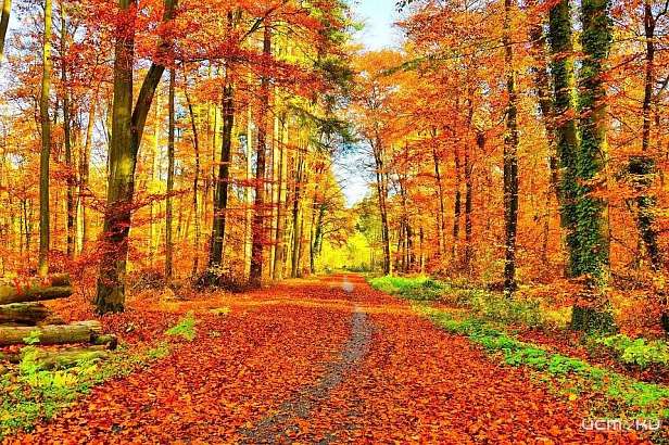 В Орловскую область пришло бабье лето. Но оно будет самым холодным за последние годы - синоптики