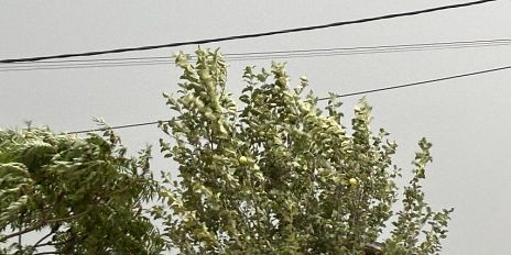 Прокуратура взяла на контроль устранение последствий грозового фронта в регионе 