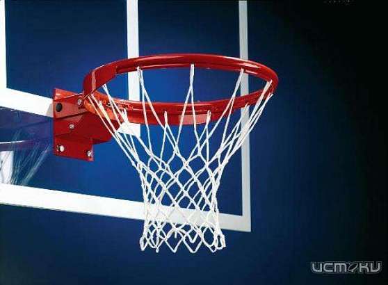 Орловские баскетболисты поборются за звание лучшей студенческой команды страны 