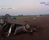 Прокуратура заинтересовалась планами чиновников вырубить деревья на Пионерской, "странное нападение", - так окрестила экс-депутат облсовета, в домах м...