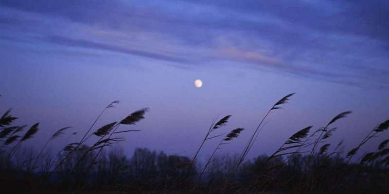 На Орловщину пришли холодные ночи