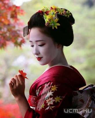 Познакомиться с загадочной Японией можно в библиотеке Бунина