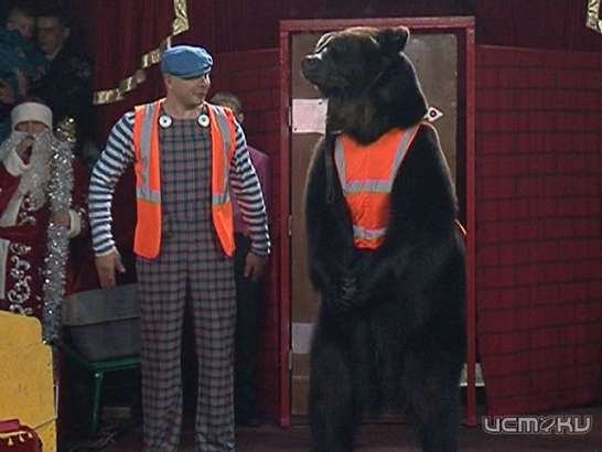 Воронежский цирк-шапито “Арлекин” в Орле 