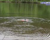 На Орловщине спасатели-водолазы сейчас активно обследуют дно водоёмов