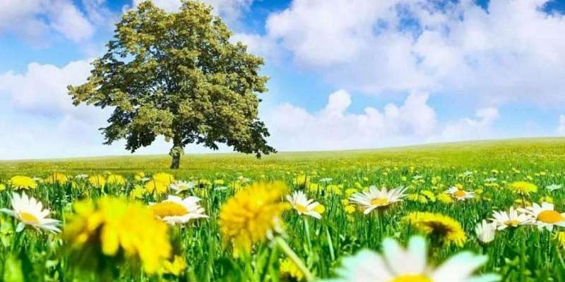 Воскресенье в Орле будет довольно жарким