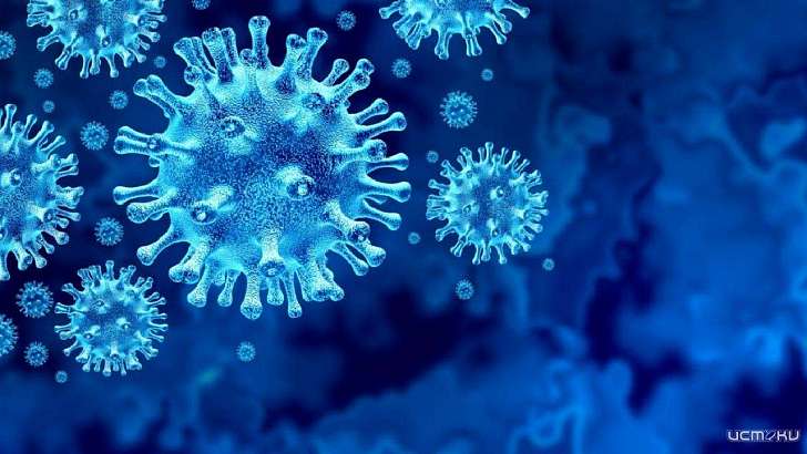 Еще два летальных случая COVID-19 попали в статистику Орловской области