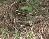 Недоступное доступное жильё