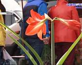 Вопрос с ярмарками выходного дня решен.