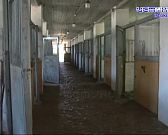 Конезавод или туристический шиш