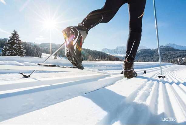 На лыжную трассу Медведевского леса выйдут участники первенства Орла