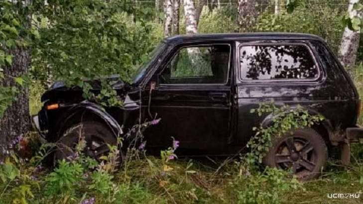 На Орловщине пенсионер врезался на «Ниве» в дерево и погиб