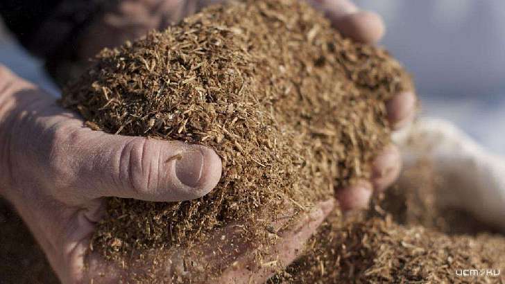 Завод первого резидента особой экономической зоны «Орел» запустят в 2023 году