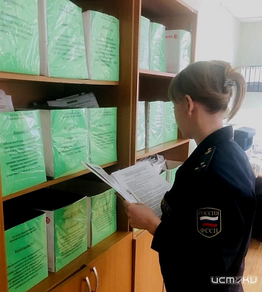 За неуплату алиментов жительнице Новосильского района назначено 100 часов обязательных работ 