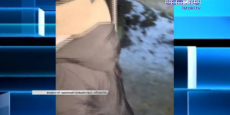 Экспресс-новости: на улицах Орла появился новогодний трамвай, "Истоки" теперь можно смотреть онлайн и на рутьюб, орловская мэрия поделилась планами н...