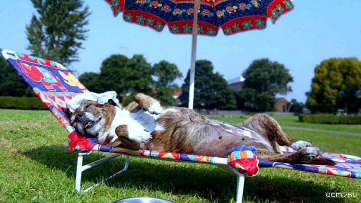 В Орел вернулись солнце и жара