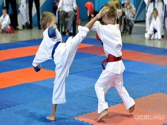 Лучшие каратисты ЦФО соберутся в орле