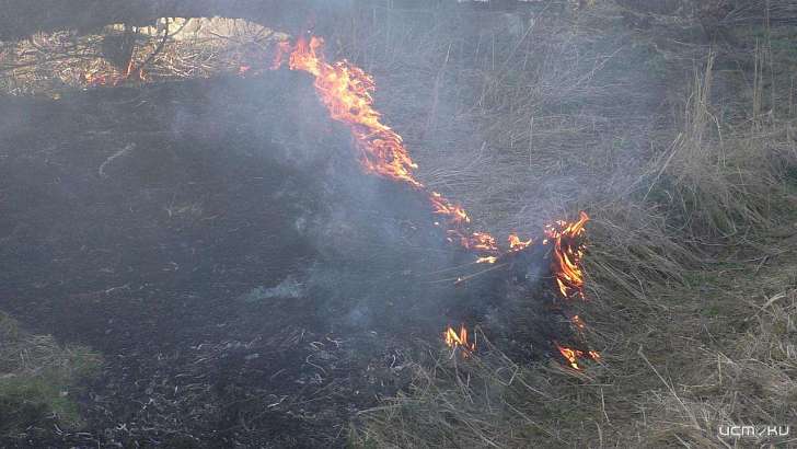 МЧС: Орловщина в опасности из-за возгораний сухой травы