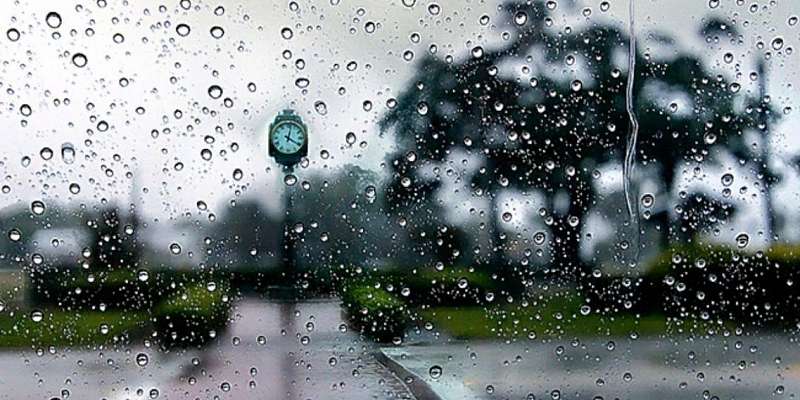 В Орле воскресенье будет прохладным и сырым