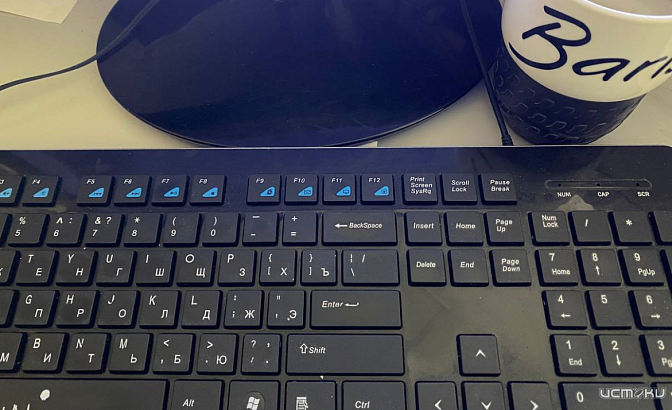 В каждой третьей компании Орла есть сотрудники на удаленке