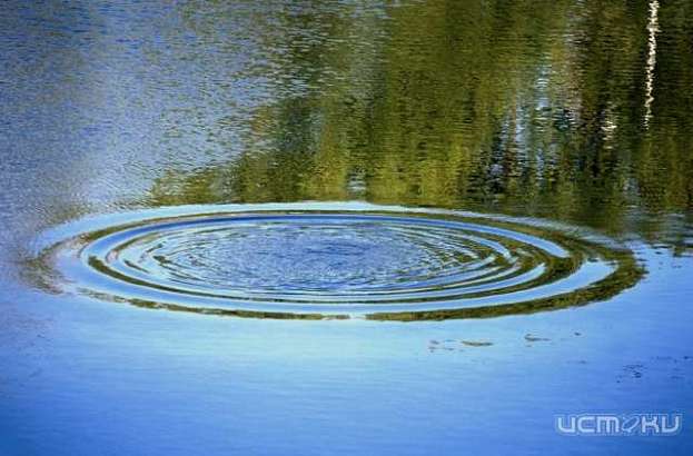 В Орле на Силикатном пруду выловили тело пропавшего рыбака