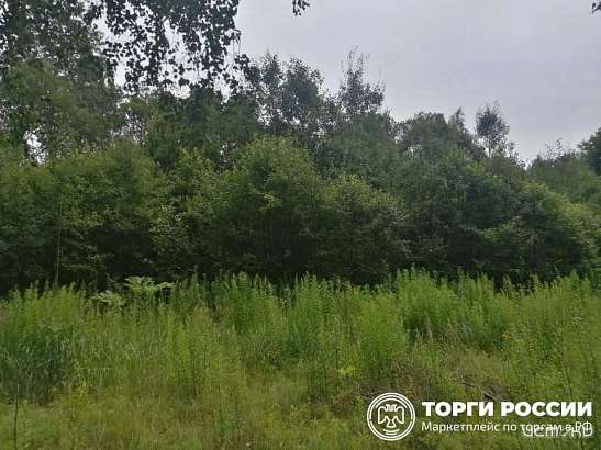 Орловские власти сдают в аренду не облагороженный участок