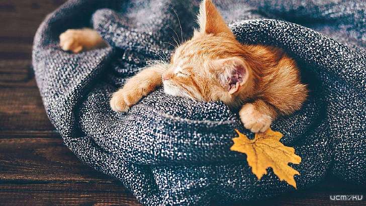 26 ноября в Орле будет холодно и без осадков