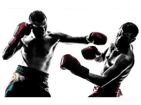 Всероссийский турнир по кикбоксингу пройдет в нашем городе с 24 по 27 ноября. 