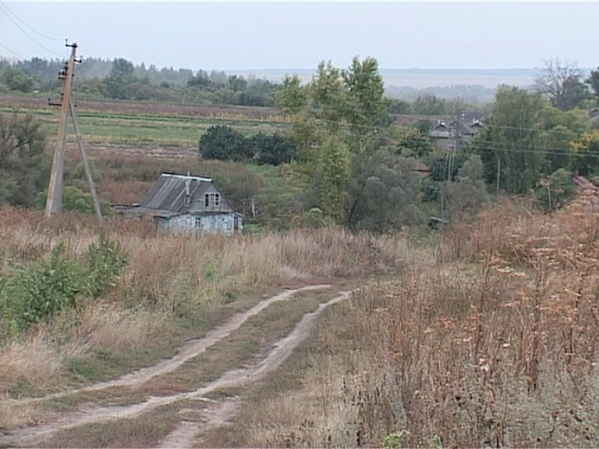 Бизнесмены потянулись в колхозы. Как разворовывают то, что создавалось десятилетиями?