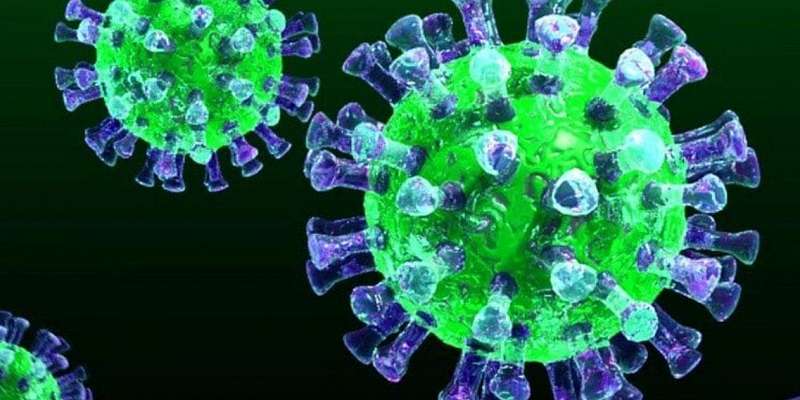 В «Бунинке» открылась выставка «Коронавирус: мифы и реальность»