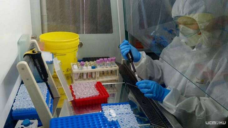 +177 случаев за сутки: на Орловщине растет заболеваемость коронавирусом